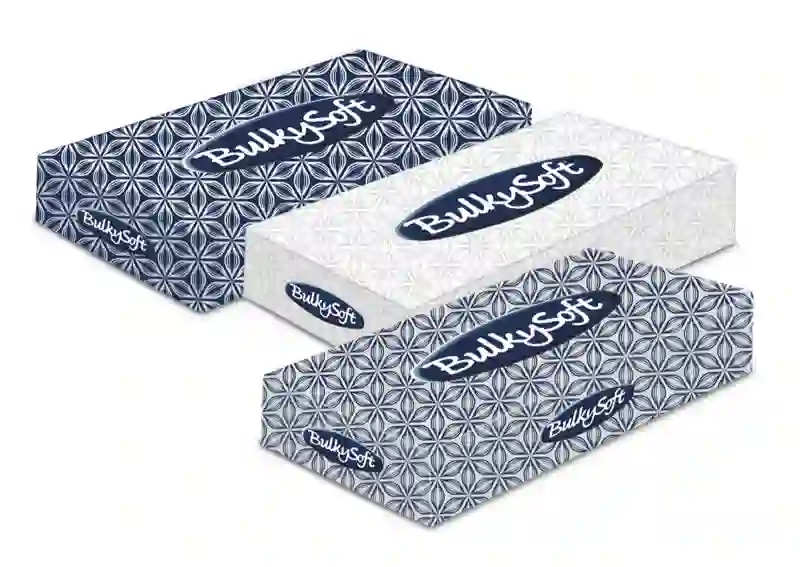 BULKYSOFT CLASSIC chusteczki higieniczne 2w. 100 szt. CLASSIC