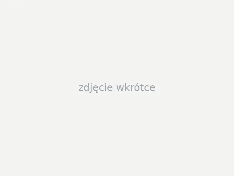 BULKYSOFT czyściwo w odcinkach AIRLAID (30 x 40) NOWOŚĆ